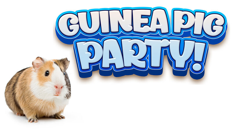 Guinea Pig Party Game